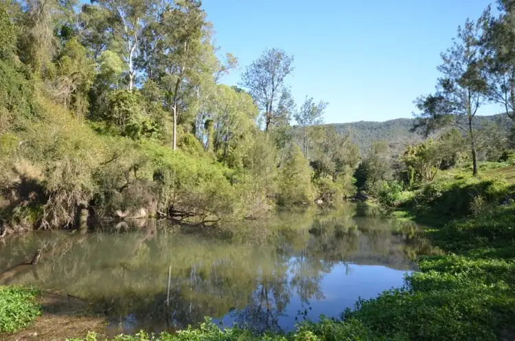 Third view of Homely rural property listing, 2450 Beaudesert-Nerang Road, Canungra QLD 4275
