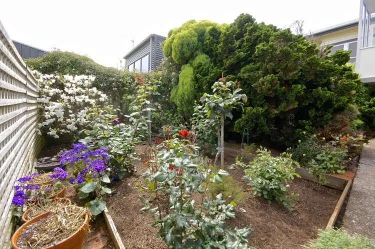 Fourth view of Homely house listing, 56 Hiller Street, Devonport TAS 7310