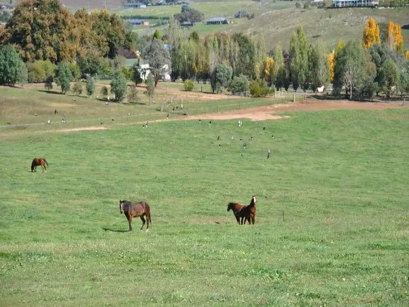 Main view of Homely rural property listing, 1190 Mitchell Highway, Orange NSW 2800