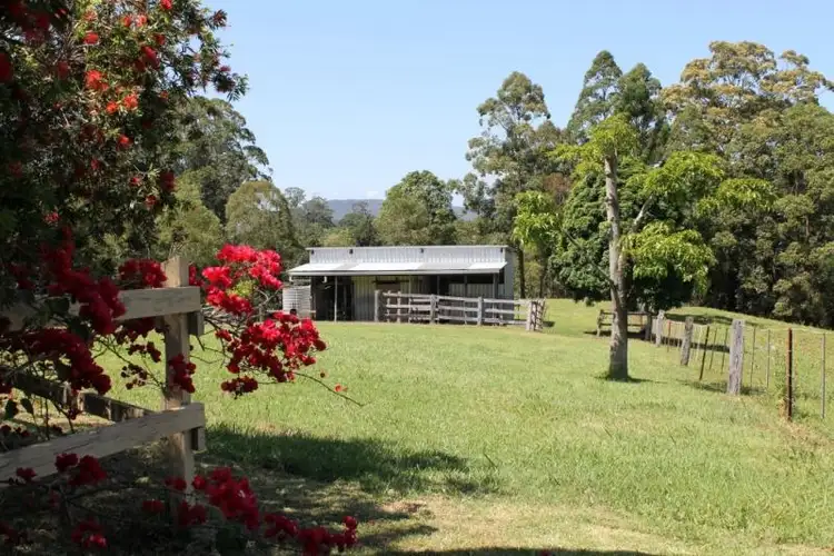 Fifth view of Homely rural property listing, 573 Blue Knob Road, Blue Knob NSW 2480