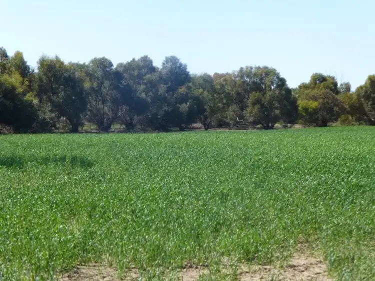 Second view of Homely land listing, Lot 6210 Billacabilla Road, Quairading WA 6383