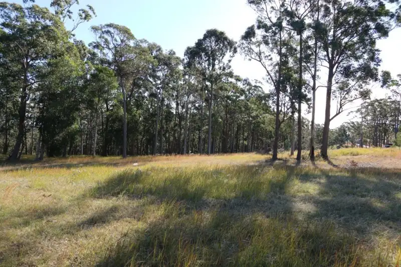 Main view of Homely land listing, 625 Duns Creek Road, Duns Creek NSW 2321