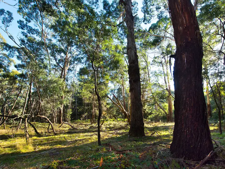 Second view of Homely land listing, 28 Plantation Road, Glenlyon VIC 3461
