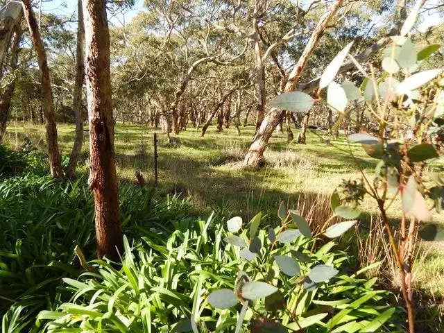 Third view of Homely rural property listing, 284 Bald Hills Road, Yankalilla SA 5203