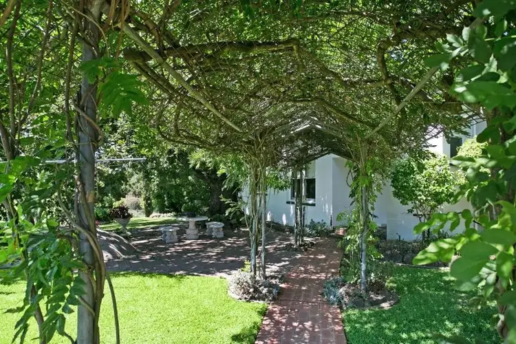 Second view of Homely rural property listing, 49 Lemon Grove Road, Mindaribba NSW 2320