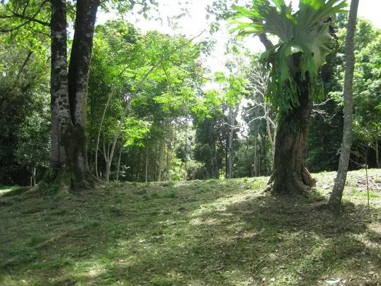 Fourth view of Homely land listing, LOT 17 LAMINGTON NATIONAL PARK ROAD, Cainbable QLD 4285