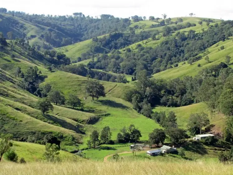 Second view of Homely rural property listing, 583 Wallaringa Road, Dungog NSW 2420