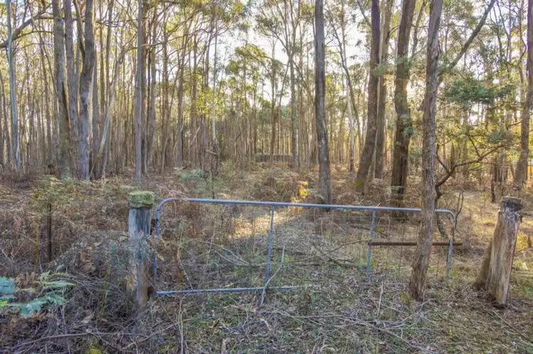 Fifth view of Homely rural property listing, 375 Daylesford - Trentham Road, Musk VIC 3461