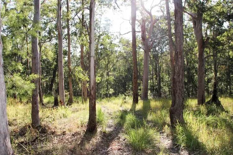 Sixth view of Homely land listing, Lot 2 Saggers Creek Road, Stroud NSW 2425