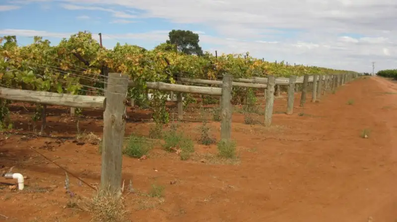 Main view of Homely rural property listing, 4E Satelberg Road, Robinvale VIC 3549