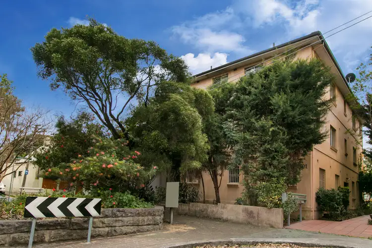 Main view of Homely studio listing, 6/101 Wells Street, Newtown NSW 2042