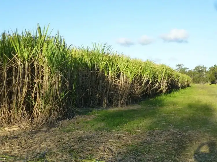 Sixth view of Homely rural property listing, 44a SMITHS ROAD, Redridge QLD 4660