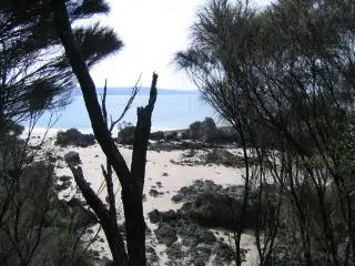 Third view of Homely land listing, 11 SEAVIEW DRIVE, Walkerville VIC 3956