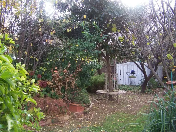Second view of Homely house listing, 19 Pinniger Street, Avenel VIC 3664