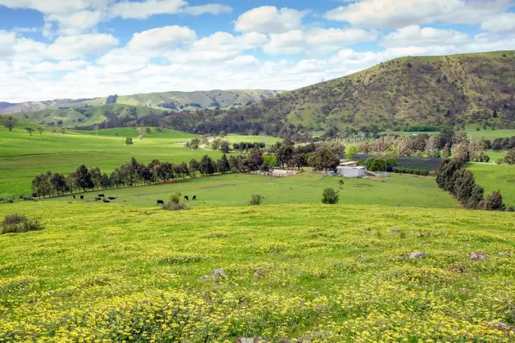 Third view of Homely rural property listing, 86 Moores Road, Flowerdale VIC 3658