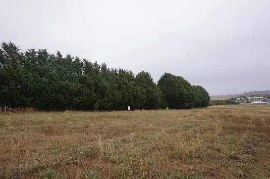 Second view of Homely land listing, Lot 522 Cottonwood Avenue, Goulburn NSW 2580