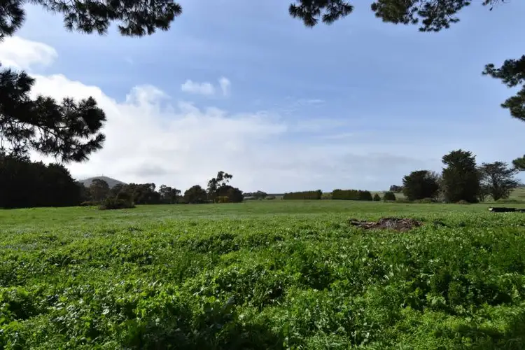 Fifth view of Homely rural property listing, 495 Ti Tree Road, Warrenheip VIC 3352