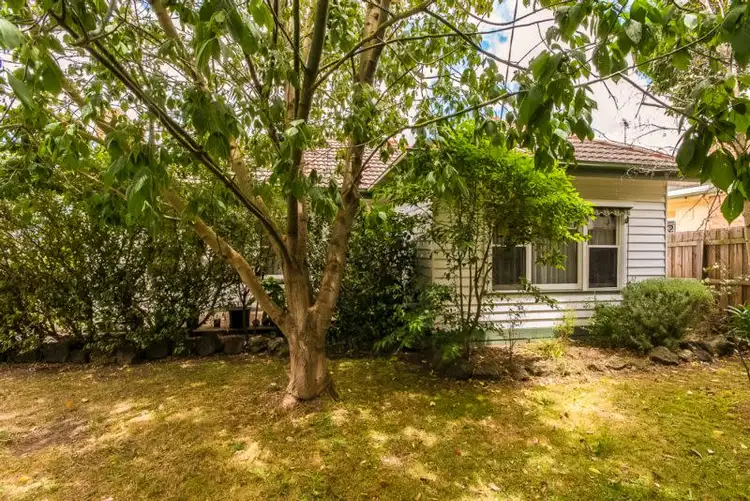 25 Cambra Road, Belmont VIC 3216