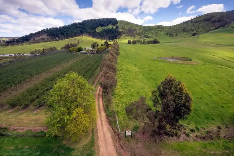 86 Moores Road, Flowerdale VIC 3717