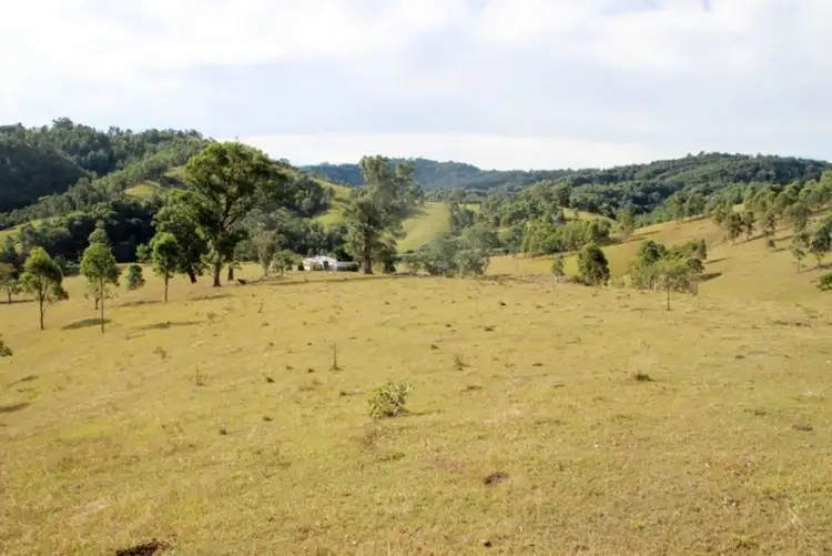 Seventh view of Homely rural property listing, 1043 Bingleburra Road, Dungog NSW 2420