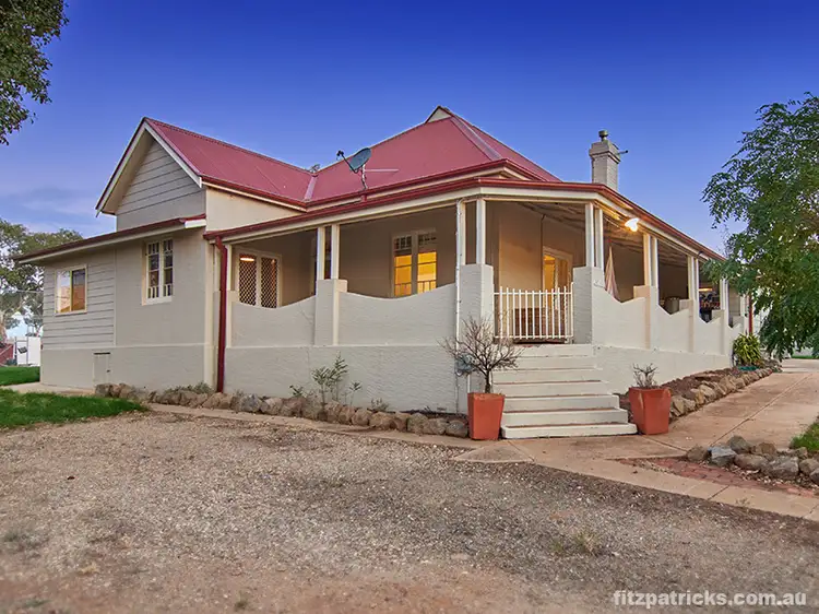 Main view of Homely house listing, 50 Matilda Crescent, Gumly Gumly NSW 2652