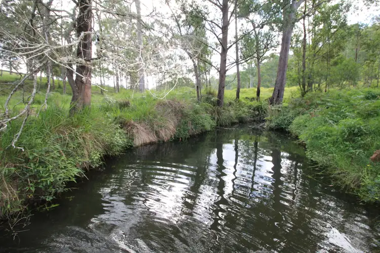 Sixth view of Homely rural property listing, 370 & 372 Quartpot Creek Road & 1892 Salisbury Road, Dungog NSW 2420