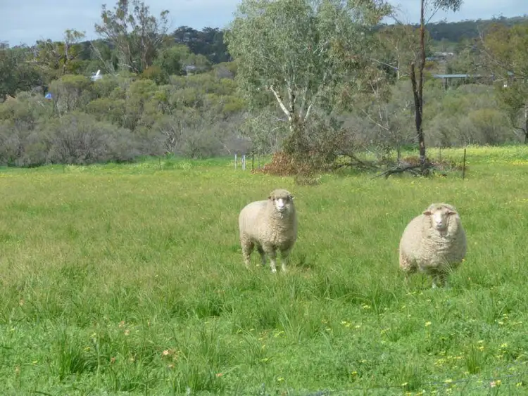 Seventh view of Homely house listing, 6 Spencers Brook rd, York WA 6302