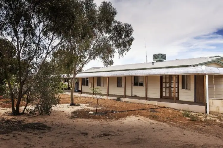 Main view of Homely rural property listing, 405 Comerford Road, Mukinbudin WA 6479