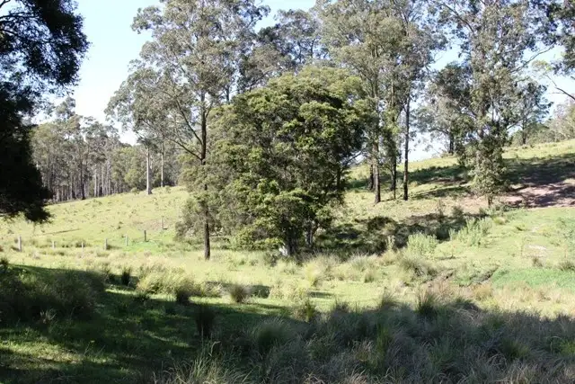 Third view of Homely land listing, 103 Brewers Road, Dungog NSW 2420