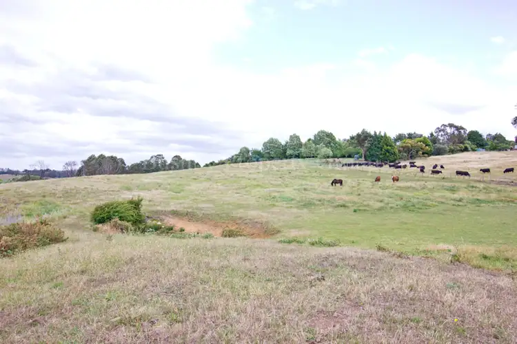 Second view of Homely house listing, 287 Penquite Road, Norwood TAS 7250