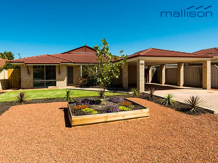 Main view of Homely house listing, 43 Firefalls Close, Huntingdale WA 6110