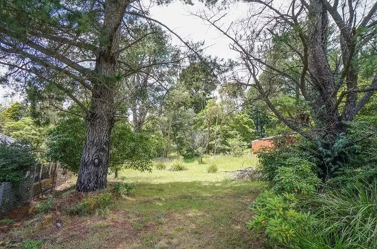 49 Oaklands Road, Hazelbrook NSW 2779