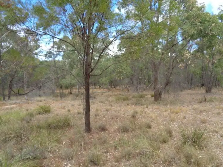 Sixth view of Homely rural property listing, 125 Tilly Willy Road, Coolah NSW 2843