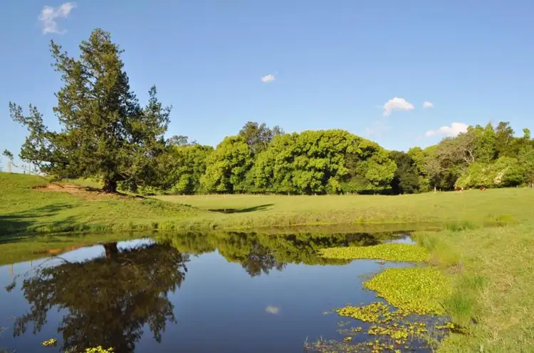 32 North Arm Road, Bowraville NSW 2449