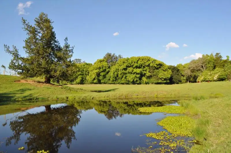 Main view of Homely rural property listing, 32 North Arm Road, Bowraville NSW 2449