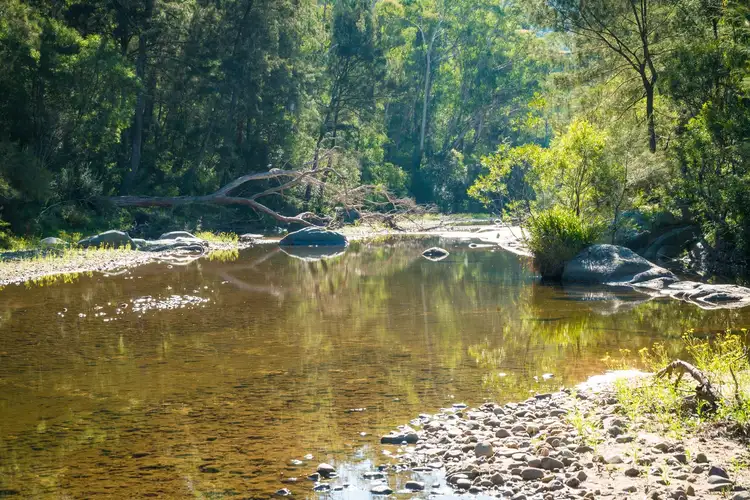 Seventh view of Homely rural property listing, 480 Haslingden Road, Bega NSW 2550