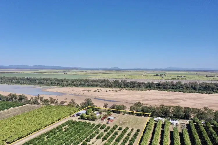 Third view of Homely rural property listing, 2574 Kirknie Road, Kirknie QLD 4806