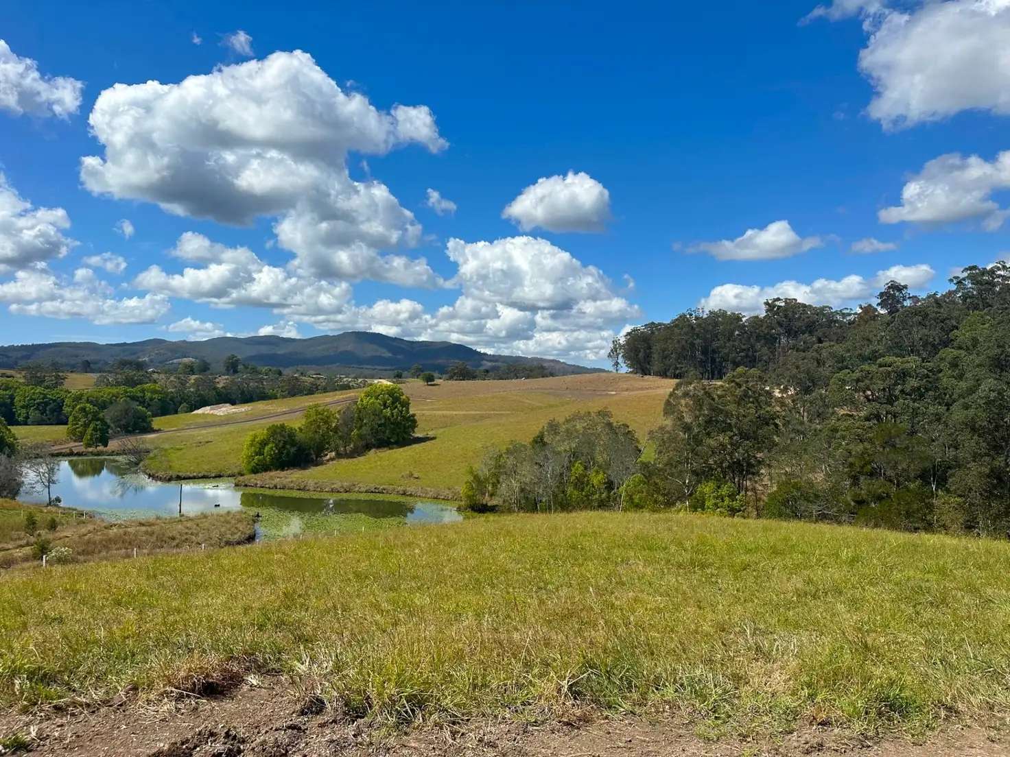 Main view of Homely land listing, Lot 8 Wallaby Park, Congarinni NSW 2447