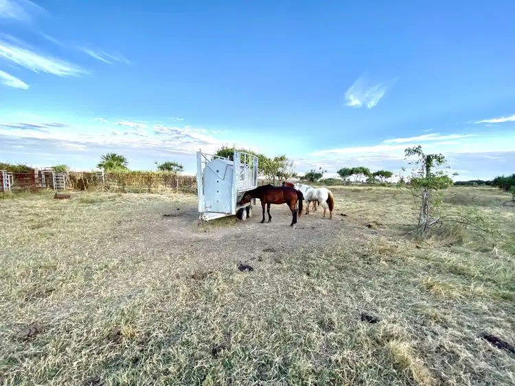 Seventh view of Homely rural property listing, 118 Pyott Road, Airdmillan QLD 4807