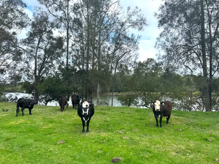 Seventh view of Homely rural property listing, Lots 19-20 Rodeo Drive, Wirrimbi NSW 2447