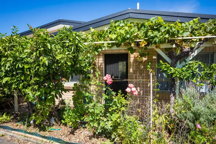 Seventh view of Homely unit listing, 1/61-65 Bay Street, Tathra NSW 2550