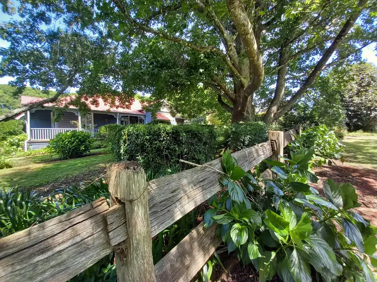 289 Tyringham  Road, Dorrigo NSW 2453