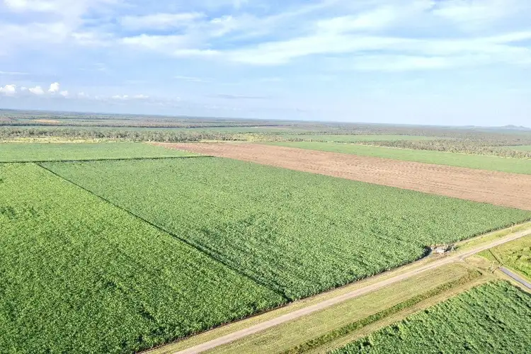 Fourth view of Homely rural property listing, 43 Keith Venables Road, Upper Haughton QLD 4809
