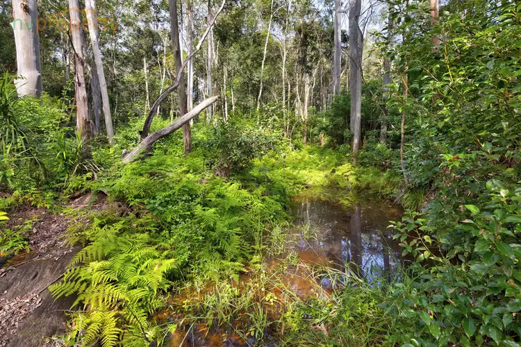 Fourth view of Homely land listing, Lot 1 Maras Creek Road, Utungun NSW 2447