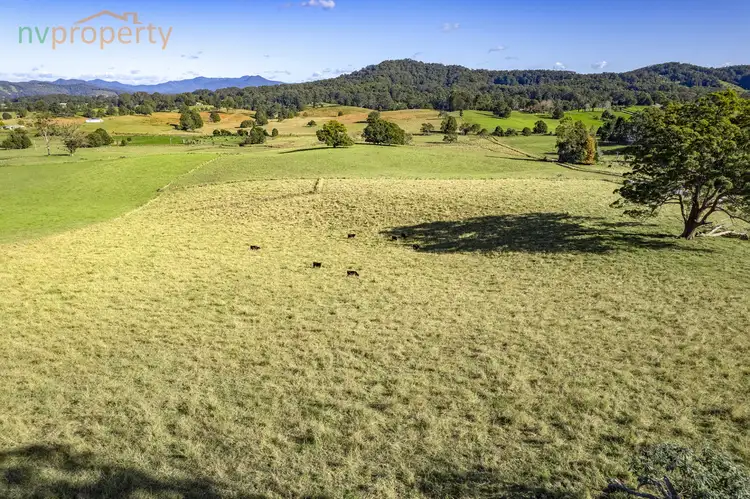 Second view of Homely rural property listing, 126 Tewinga Lane, Tewinga NSW 2449