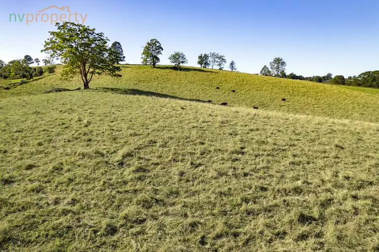 Sixth view of Homely rural property listing, 126 Tewinga Lane, Tewinga NSW 2449