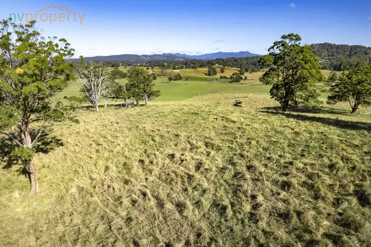 Seventh view of Homely rural property listing, 126 Tewinga Lane, Tewinga NSW 2449