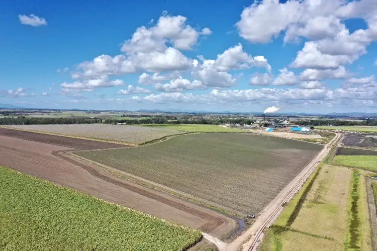 Second view of Homely rural property listing, 1 Townsville Road, Brandon QLD 4808