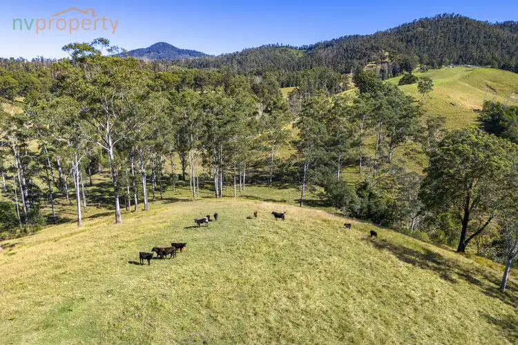 Third view of Homely rural property listing, 173 Lemans Road, Yarranbella NSW 2447