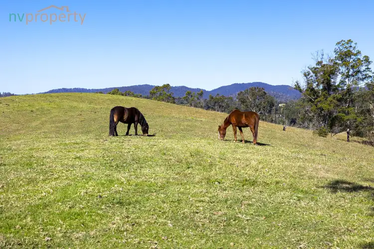 Fourth view of Homely rural property listing, 173 Lemans Road, Yarranbella NSW 2447